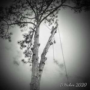 Meet your Posher, Dylan